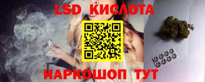 прущие грибы Пушкино