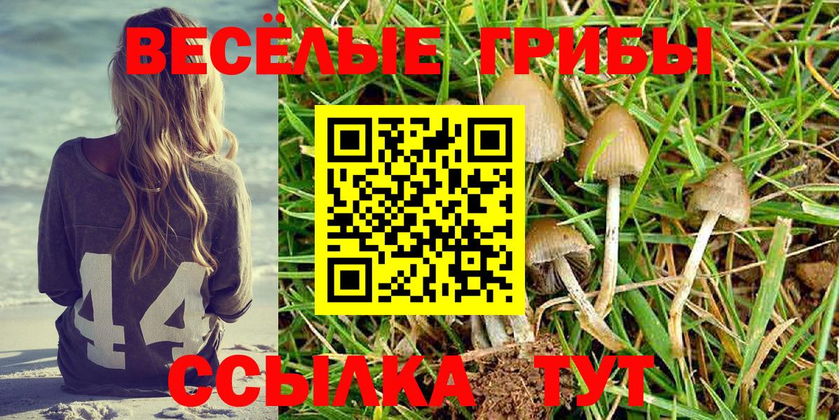 Псилоцибиновые грибы Magic Shrooms  Вход с VPN  Ахтубинск  Галлюциногенные грибы мухоморы 
